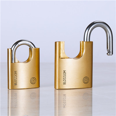 60mm top security high quality anti-cut brass padlock (2)