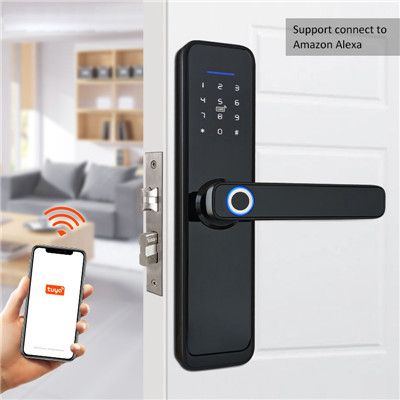 Biometric fingerprint smart door lock in good quality (2)